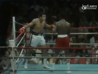 Dodging Punches